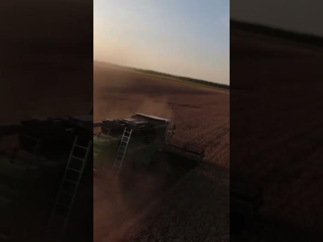 harvester Fendt #short #tractors #trattori #music #farm #harvester #fendt #calvinharris #loop