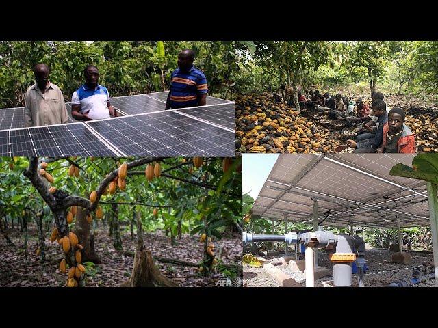 FIRST SOLAR IRREGATION COCOA FARM IN GHANA OWN BY CoP MEMBER - ELDER PETER OPPONG