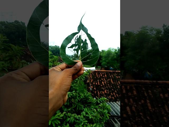 jai shree ram short video #sandeep #leaf #artist #nature #jaishreeram #shorts #viralvideo #short