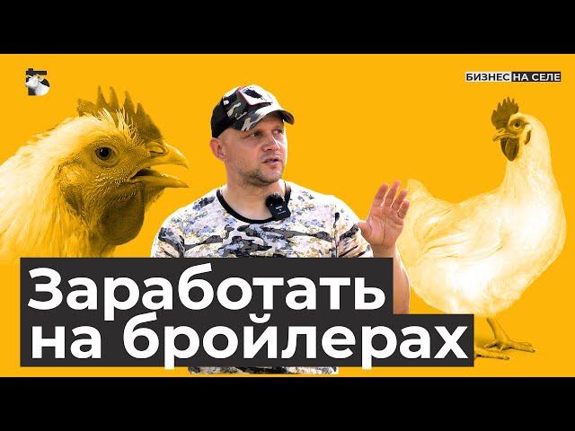 Оставил автобизнес и уехал в село. Как заработать 200 тысяч в месяц на бройлерах?