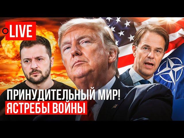  LIVE! Зеленский хочет войны, Трамп хочет мир! Арест депутата Шевченко. Выборы в Украине.