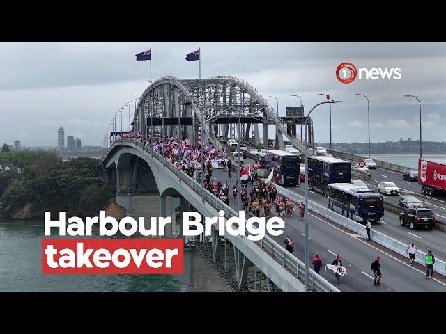 National Toitū te Tiriti hīkoi travels through Auckland | 1News on TVNZ+