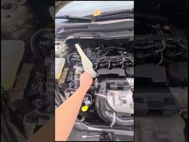 Volvo V50 1.6hdi PCV/engine breather glove test (oil leaking grom every seal, help needed…)