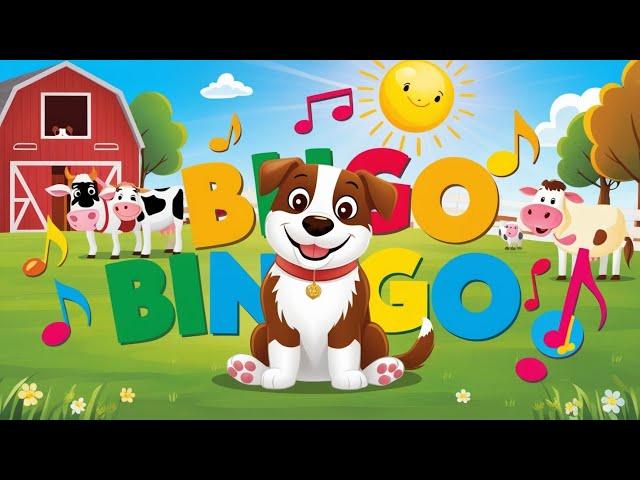 Bingo Dog poem|Nursery Rhymes|zigzag tv kids|