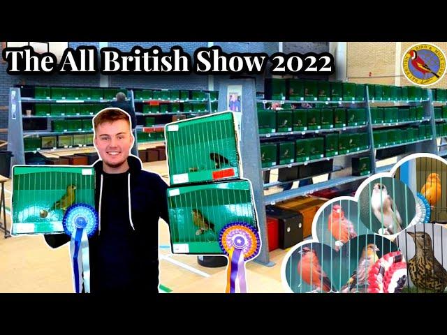 The All British Bird Show 2022 - Finches, Hybrids, Softbills & Norwich Canaries