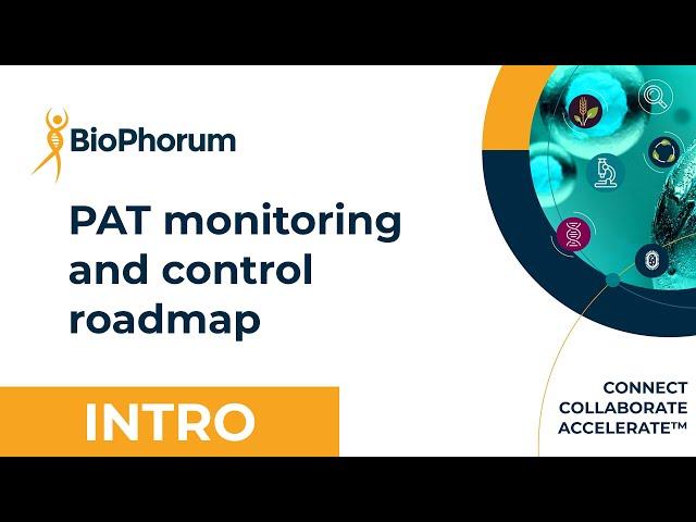 PAT monitoring and control roadmap animation