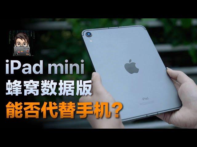 iPad mini 6 蜂窝数据版能否代替手机？｜iPad mini6使用体验【4k】