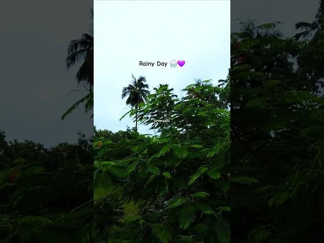 Rainy Day by bts v  #shorts #shortsfeed #rainydaystatus #v #vbts #bts #btsarmy #rain #kimtaehyung