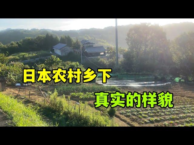 日本農村老家地廣人稀，不養家禽牲畜，生活遠離喧囂，平靜安逸