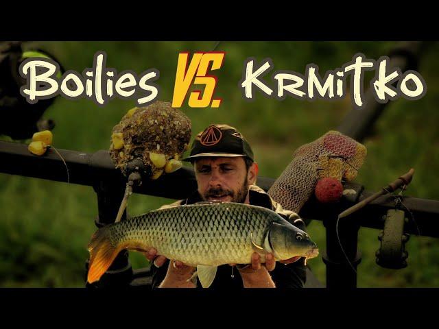 Boilies vs. Krmitko - lov kapra