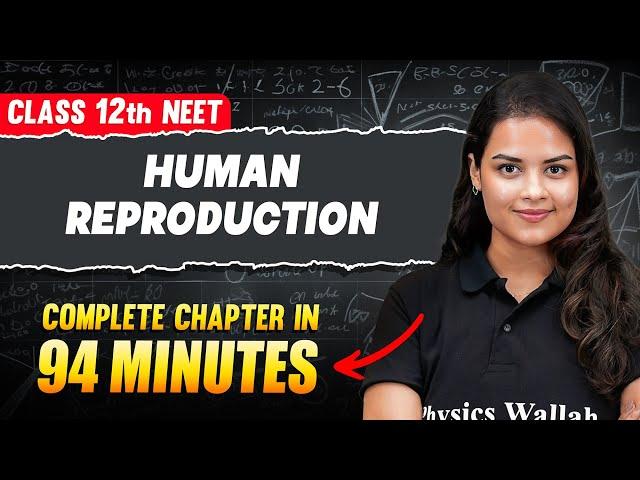 HUMAN REPRODUCTION in 94 Minutes | FULL Chapter For NEET | PhysicsWallah