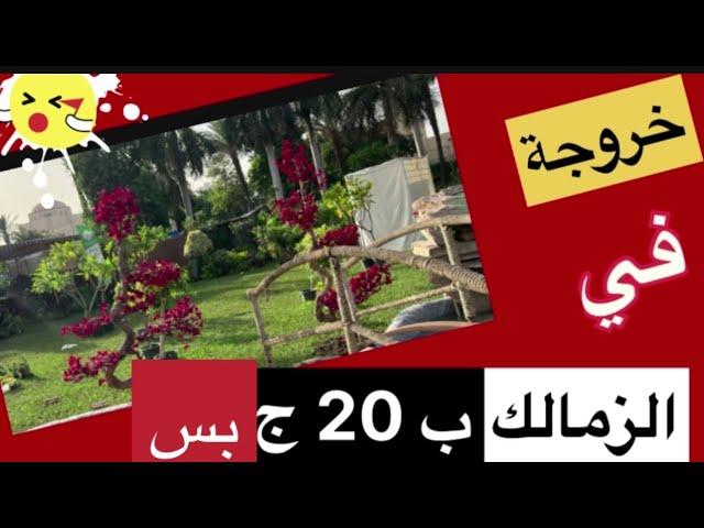 حديقة الحرية| من اجمل الحدائق اللي ممكن تخرج فيها انت واسرتك