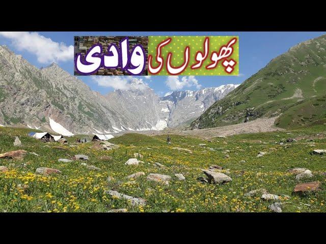 Shounter Valley Part 4 | Bhurjan Valley | Neelum Valley |