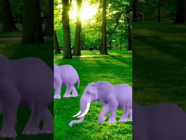 #shorts #shortsvideo #shortsyoutube #greenscreen #greenscreenanimals #animals #elephant #shortsviral