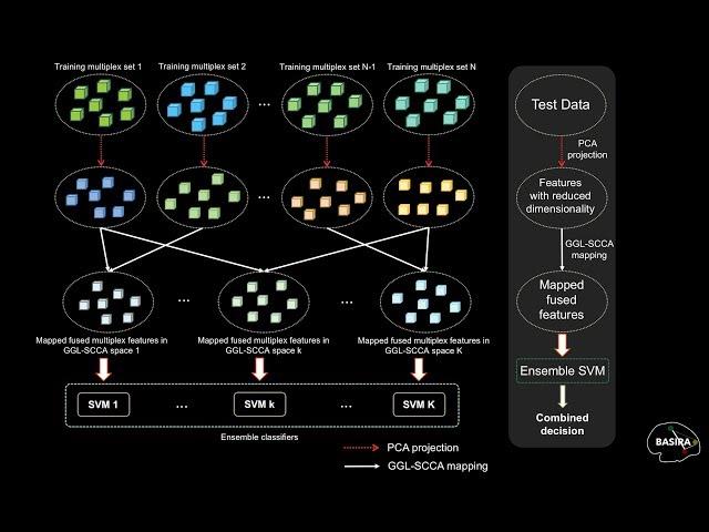 Early Dementia Diagnosis using Convolutional Brain Morphological Multiplexes (Lisowska et al  2018)