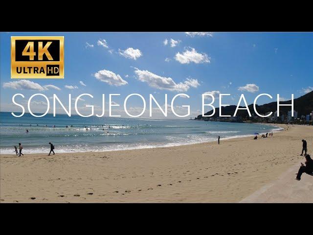 4K Busan,Korea  Songjeong Beach!! Relaxing & Cool Beach with Surfers!!