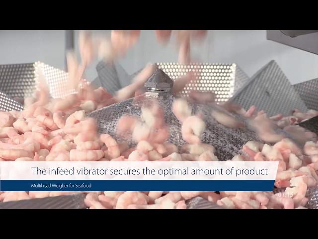 Multihead Weigher for Seafood – Fast and efficient batching