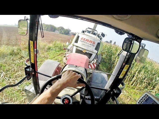 Cab View | Massey Ferguson 7624 Dyna VT + Claas Jaguar 960 | Mais Silage