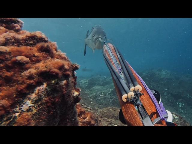 Pesqué 2 Peces Gigantes A Solo 2 Metros De Profundidad - Pesca Submarina 2024