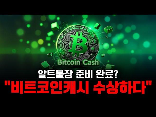 알트불장 준비 완료? "비트코인캐시 수상하다"