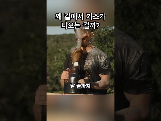 Wasp 인젝터 나이프의 위력! 