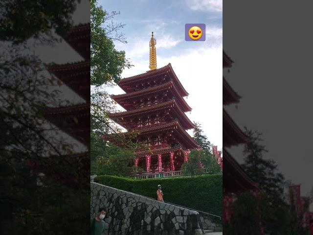 Walking tour at a Japanese temple ️