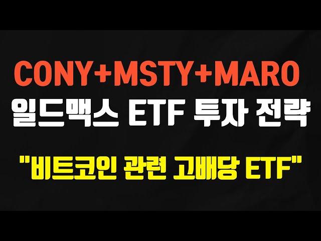 비트코인 관련 일드맥스 ETF로 매주 배당 받기