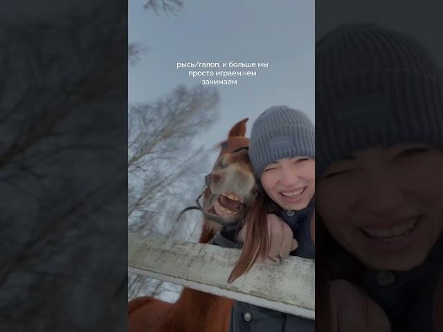 Воспитание молодого жеребца без опыта ️#жеребенок #лошади #лошадь #equestrian