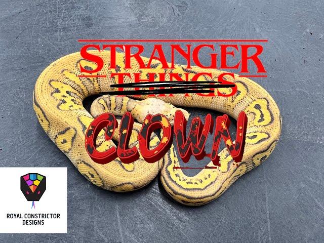 Got the Stranger things?  Meet these Stranger Clowns, one of the hottest morphs!