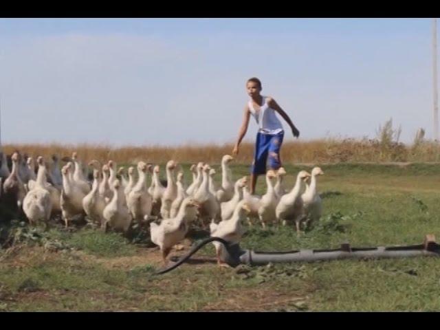 Глаголица