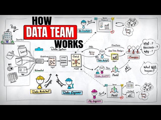 How Modern Data Teams Work (Engineer, Analyst, Scientist, Architect, ML)