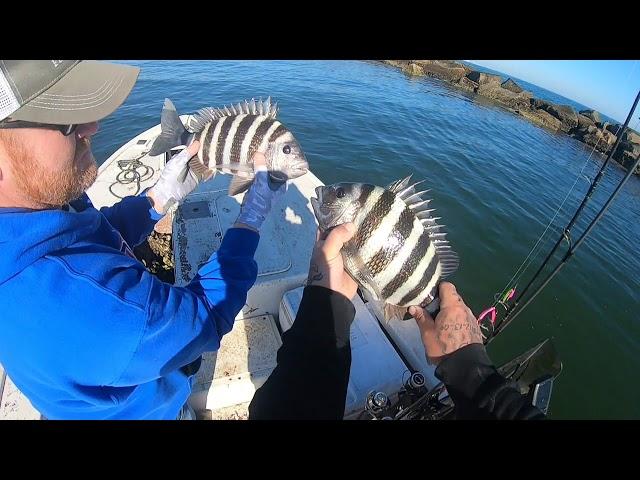 We LIMITED Out.. Sheepshead Fishing at it's Best.. Using The Bottom Sweeper Jig and Sand Fleas