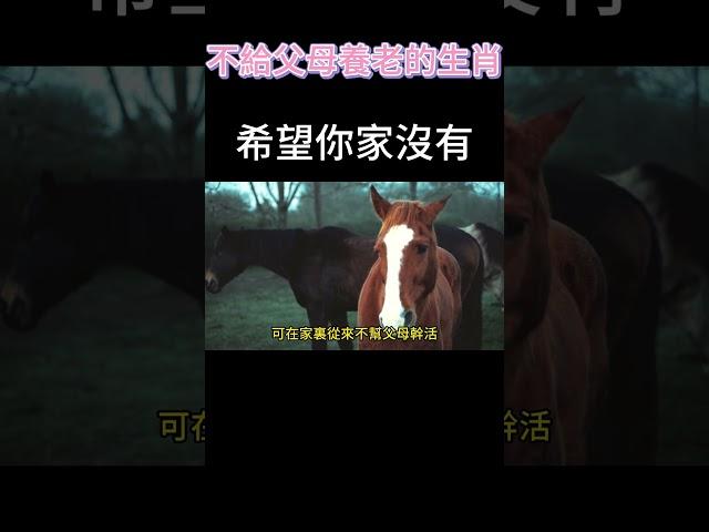不給父母養老的4個生肖！#生肖 #傳統文化 #佛教 #紫微斗數 #養老
