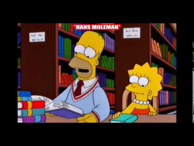 The Simpsons - Homer and Lisa visit the Library [Funny Simpsons Clips]