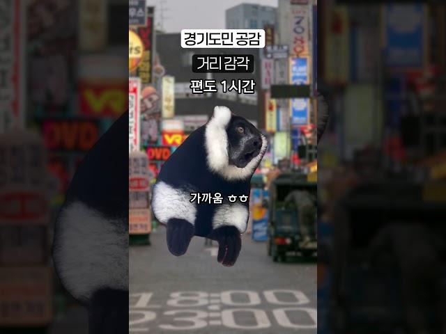 어디든 한시간 반 걸리는 경기도민 브이로그