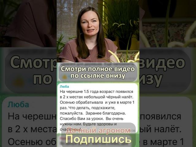 Черный налет НА ЧЕРЕШНЕ #дачныйагроном #черешня