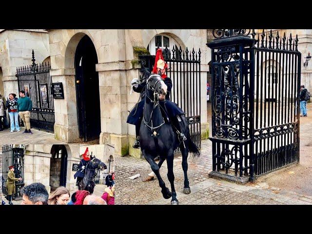 Incredible Horsemanship: Royal Guards Handle High Drama at Horse Guard!"