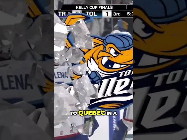 Havland Scores! Trois Rivières Ties Series with Game Winning Goal #echl #hockey #hockeyresults