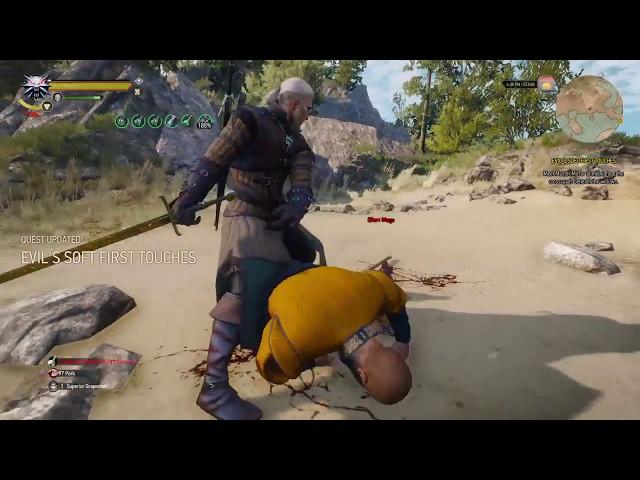 The Witcher 3 | Defeating Ofieri Mage in Style