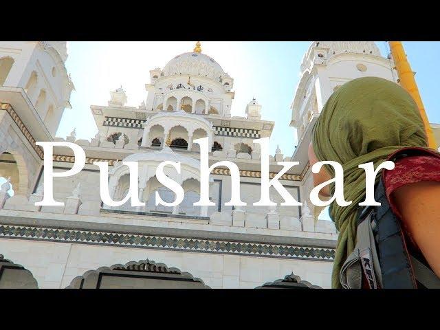 14 THINGS TO DO IN PUSHKAR | PUSHKAR TRAVEL GUIDE | INDIA VLOG