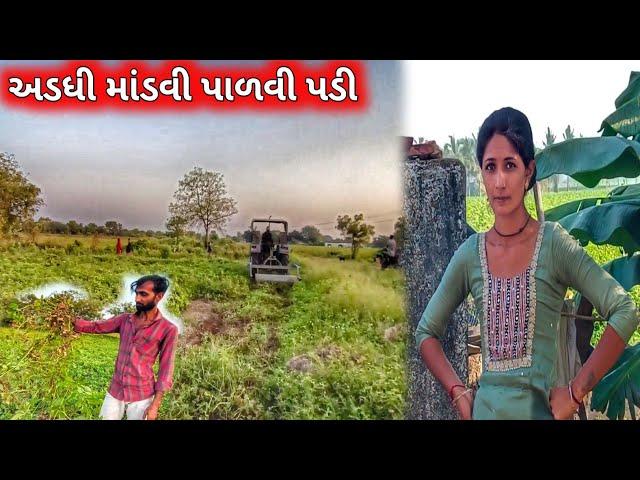 Adadhi Mandvi Palvi Padi || farmerlife ||