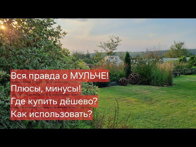 Вся правда о МУЛЬЧЕ! Плюсы, минусы! Как правильно использовать! Где купить дёшево!