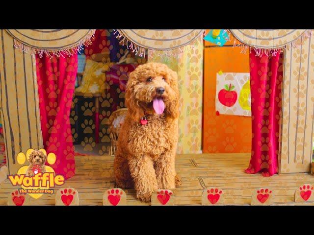 Waffle's Wonderful Art & More! | Waffle The Wonder Dog Compilation For Kids | WildBrain Zigzag