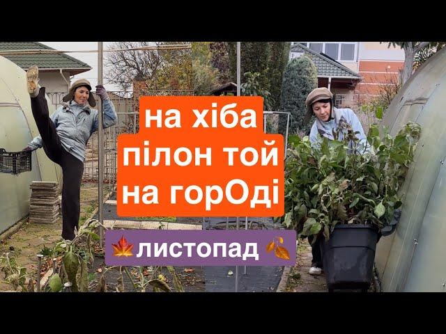 Прибрала огород за 2 години , ще і вам відео зняла. Що там з агротканиною  ?