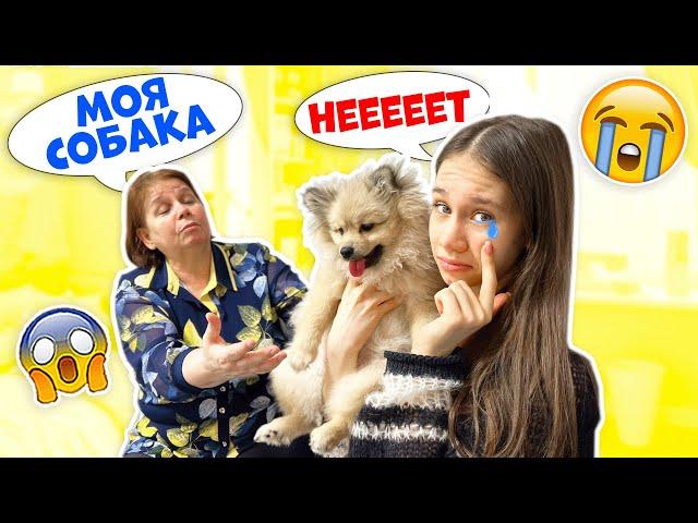 ПРОЩАЕМСЯ с Щенком Отдаём БАБУШКЕ?? 