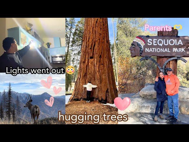 TRIP WITH PARENTS to SEQUOIA: SNOW, Family Time, & FUN.