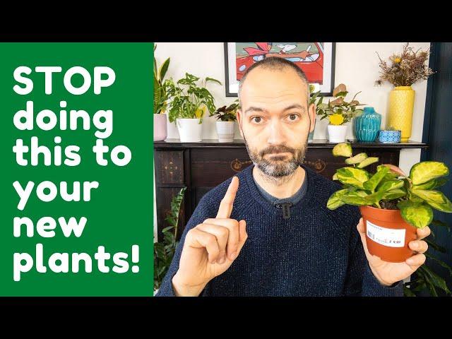 What NOT To Do With Your New Houseplant  | 9 New Houseplant Care Tips