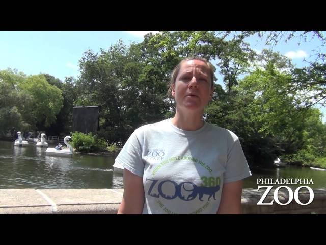 Ask the Philadelphia Zoo Keepers: What is the most surprising thing about being a zoo keeper?