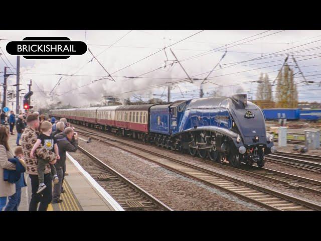 Gresley A4 and Stanier Five on the Fast | LNER 60007 'Sir Nigel Gresley' & LMS 44871 - 16/11/24