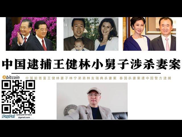 中國逮捕王健林小舅子涉殺妻案 王健林妻子林寧弟弟林友瑞典泰國涉兩起殺妻案遭中國警方逮捕 共青團時代獲得中國首富地位 白手套終有被丟掉一天